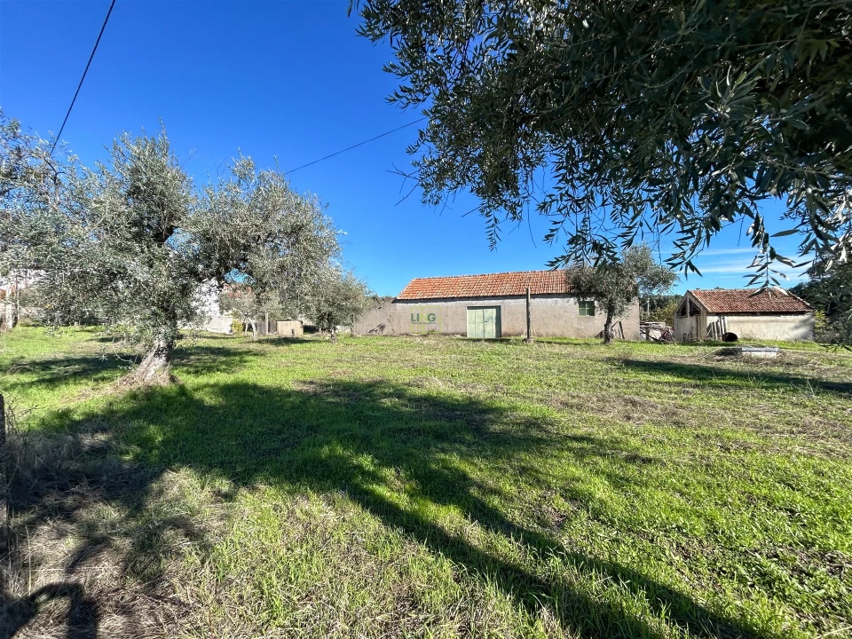 Terreno Misto para Venda em Aldeia do Bispo, Águas e Aldeia de João Pires Foto 71