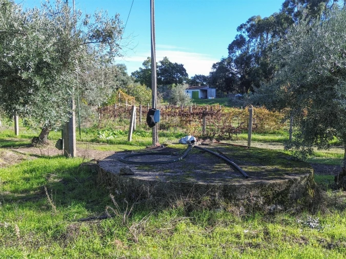 Terreno Misto para Venda em Aldeia do Bispo, Águas e Aldeia de João Pires Foto 21