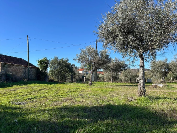 Terreno Misto para Venda em Aldeia do Bispo, Águas e Aldeia de João Pires Foto 48
