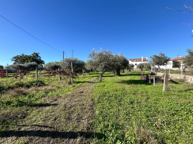 Terreno Misto para Venda em Aldeia do Bispo, Águas e Aldeia de João Pires Foto 63