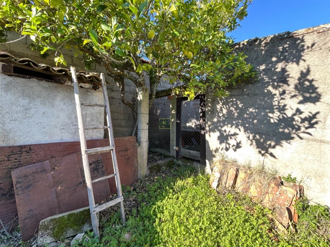 Terreno Misto para Venda em Aldeia do Bispo, Águas e Aldeia de João Pires Foto 31