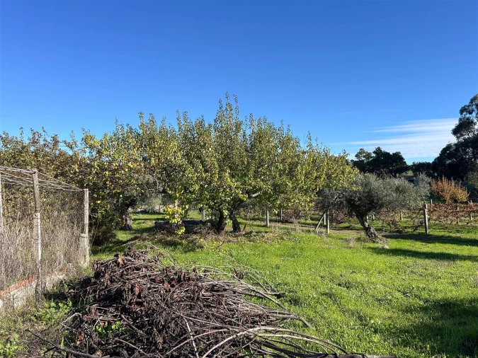 Terreno Misto para Venda em Aldeia do Bispo, Águas e Aldeia de João Pires Foto 47