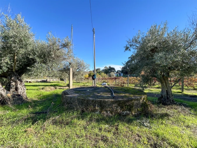 Terreno Misto para Venda em Aldeia do Bispo, Águas e Aldeia de João Pires Foto 60