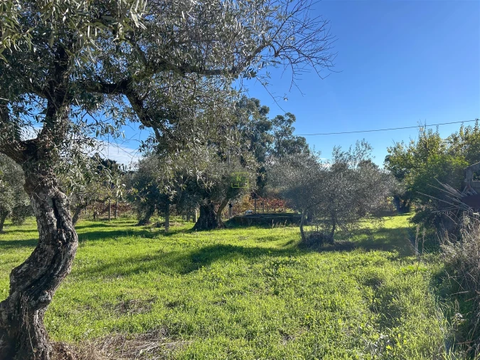 Terreno Misto para Venda em Aldeia do Bispo, Águas e Aldeia de João Pires Foto 39