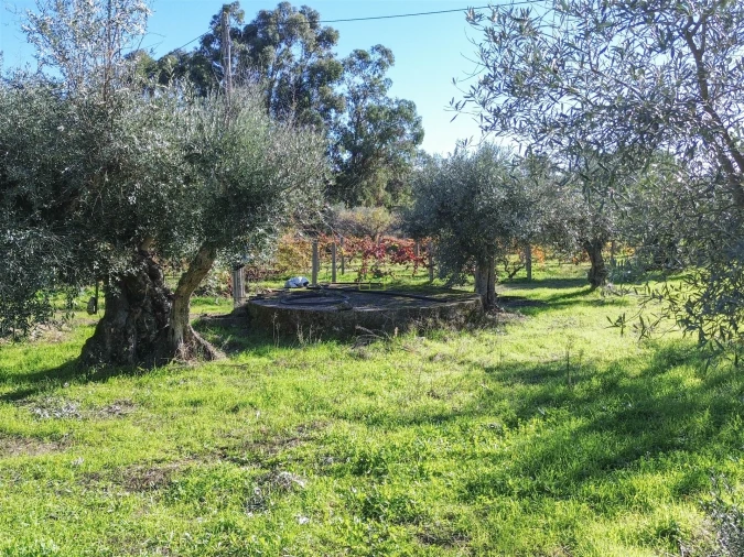 Terreno Misto para Venda em Aldeia do Bispo, Águas e Aldeia de João Pires Foto 20