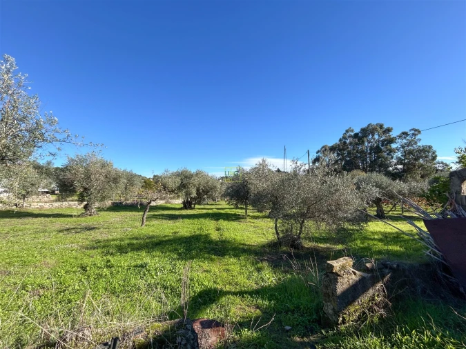 Terreno Misto para Venda em Aldeia do Bispo, Águas e Aldeia de João Pires Foto 32
