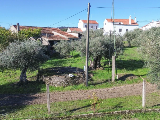 Terreno Misto para Venda em Aldeia do Bispo, Águas e Aldeia de João Pires Foto 12
