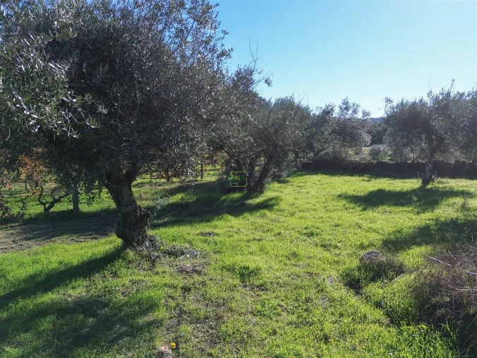 Terreno Misto para Venda em Aldeia do Bispo, Águas e Aldeia de João Pires Foto 22