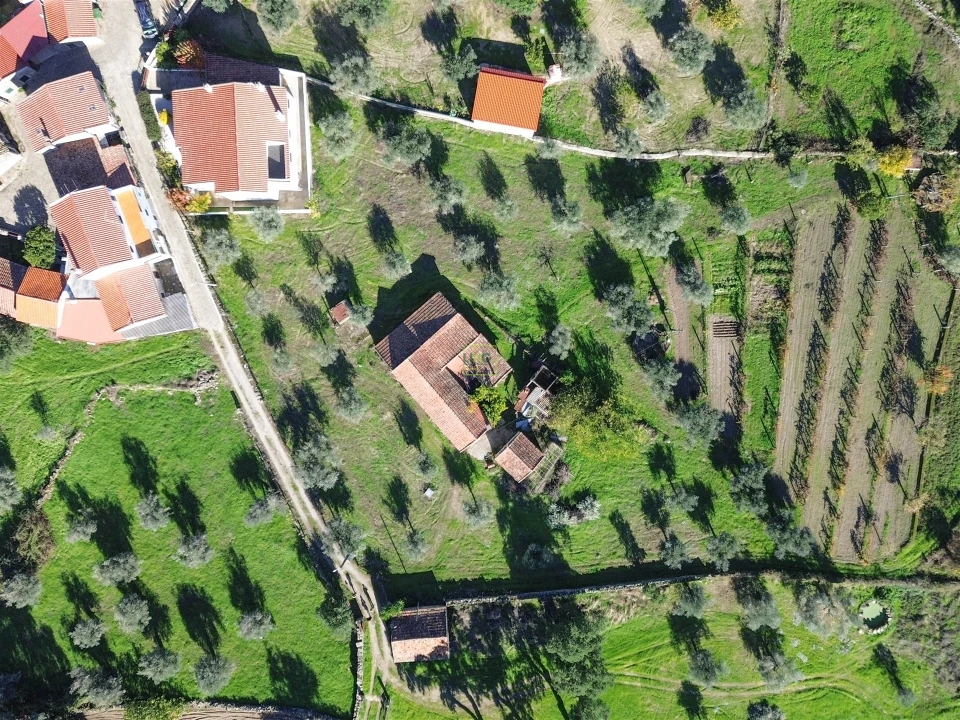 Terreno Misto para Venda em Aldeia do Bispo, Águas e Aldeia de João Pires Foto 4