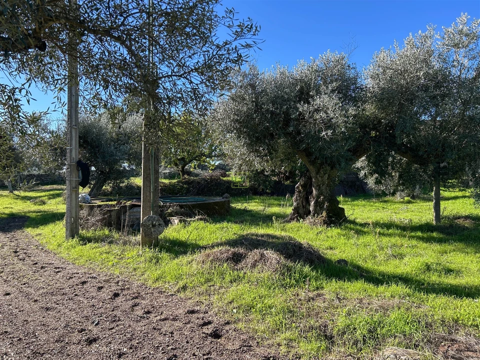 Terreno Misto para Venda em Aldeia do Bispo, Águas e Aldeia de João Pires Foto 65