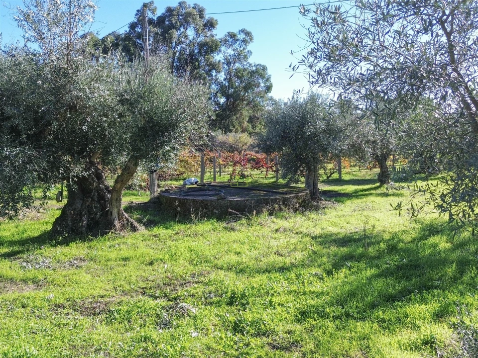 Terreno Misto para Venda em Aldeia do Bispo, Águas e Aldeia de João Pires Foto 20