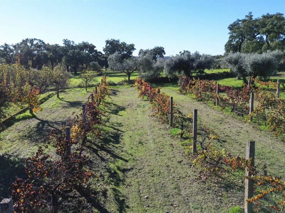 Terreno Misto para Venda em Aldeia do Bispo, Águas e Aldeia de João Pires Foto 11