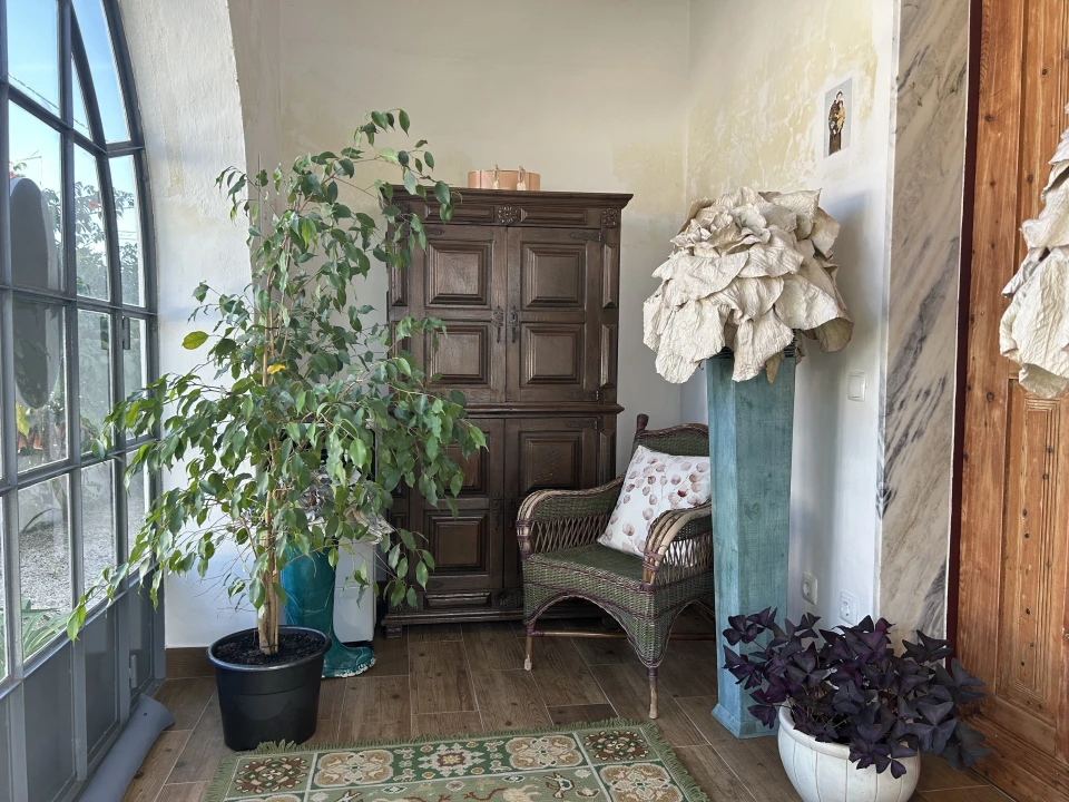 Moradia T3 para Venda em Gafanhoeira (São Pedro) e Sabugueiro Foto 5