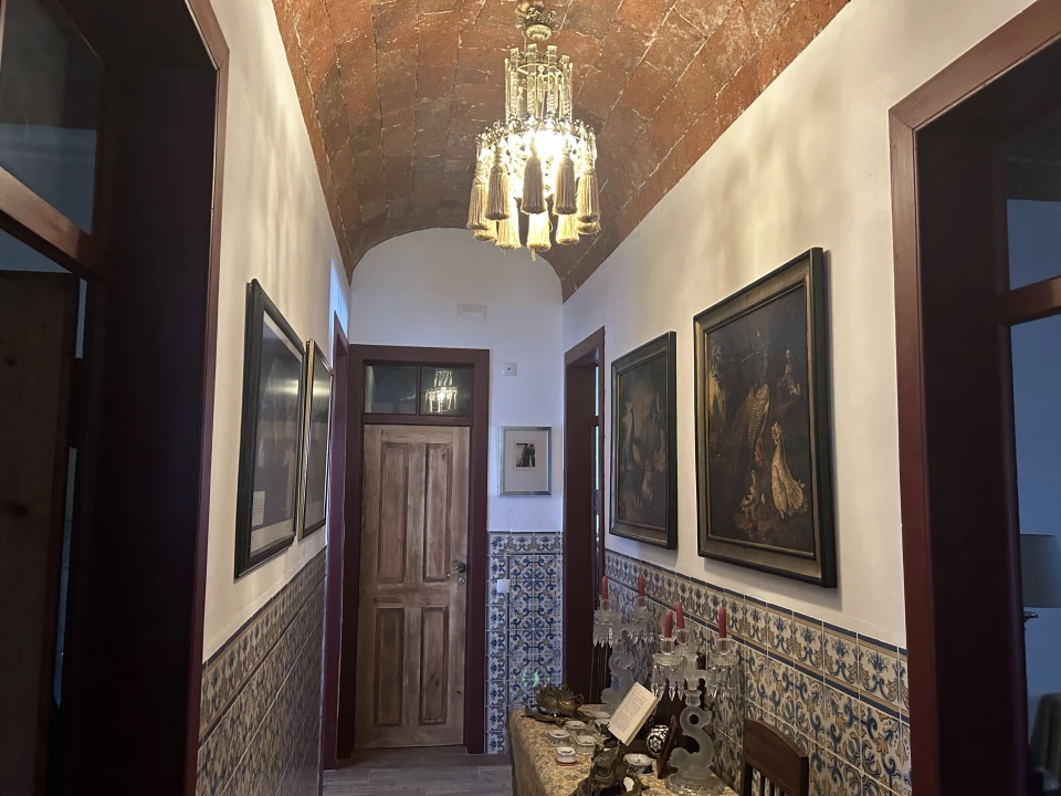 Moradia T3 para Venda em Gafanhoeira (São Pedro) e Sabugueiro Foto 13