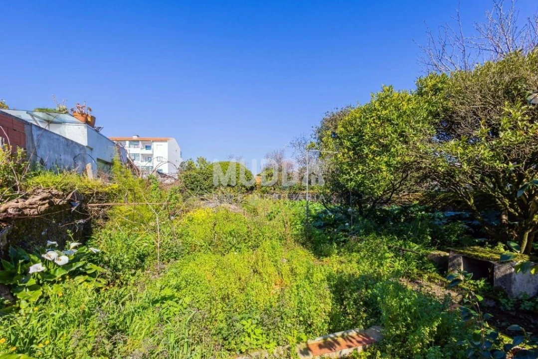 Moradia T6 para Venda em Ovar, São João, Arada e São Vicente de Pereira Jusã Foto 24