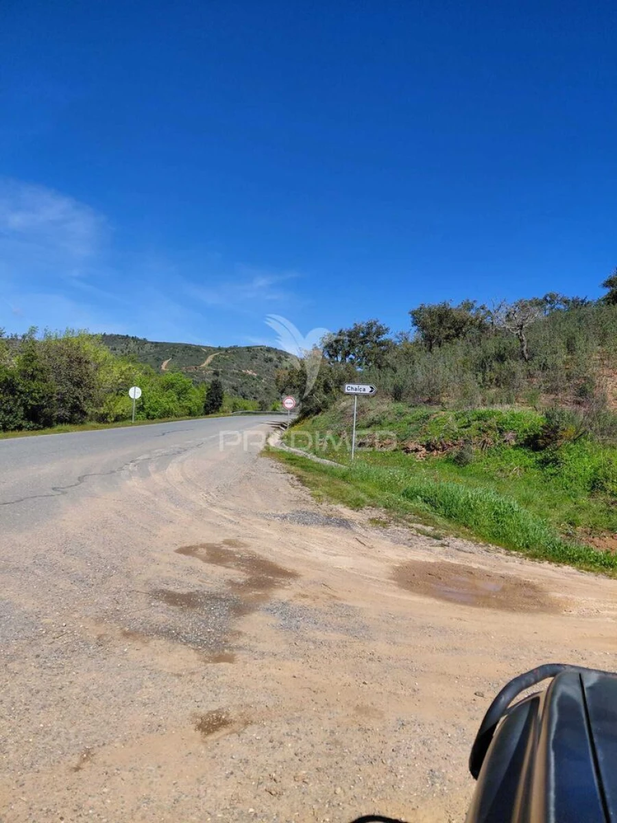 Terreno para Venda em Saboia Foto 7