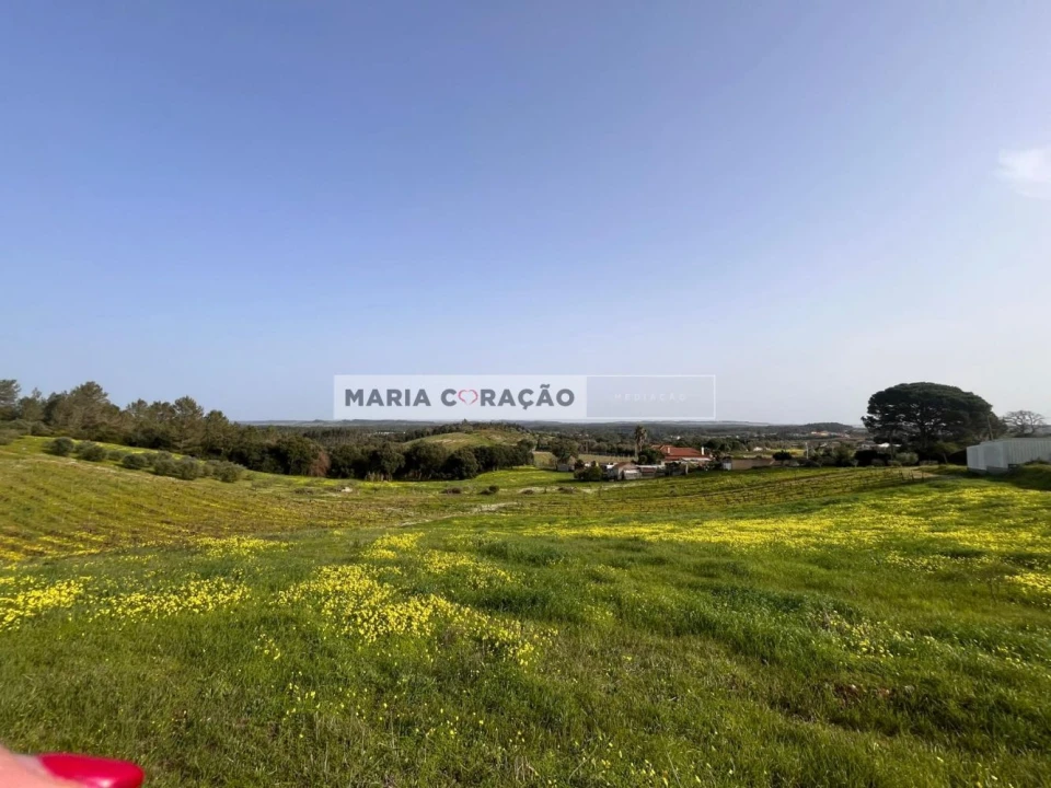 Moradia T3 para Venda em Alcoentre Foto 11