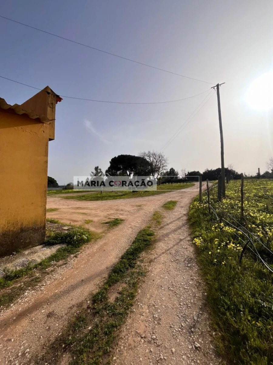 Moradia T3 para Venda em Alcoentre Foto 13