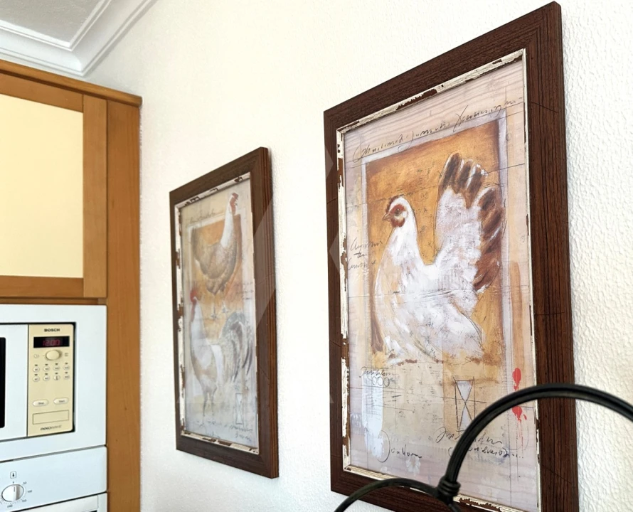 Moradia T4 para Venda em São Brás de Alportel Foto 11