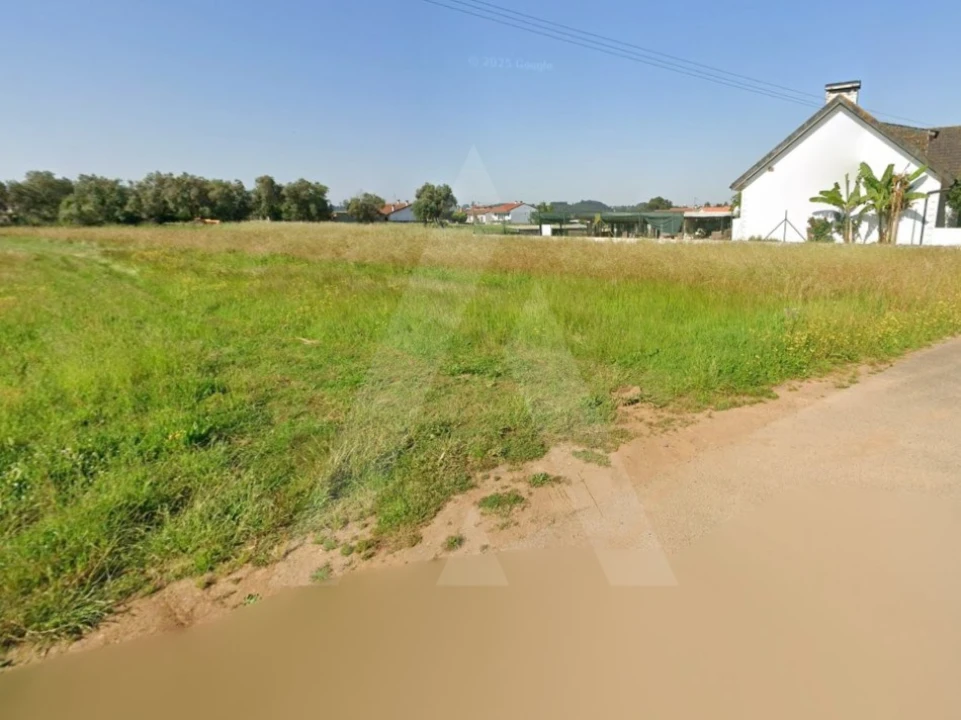 Terreno para Venda em Barrô e Aguada de Baixo Foto 11