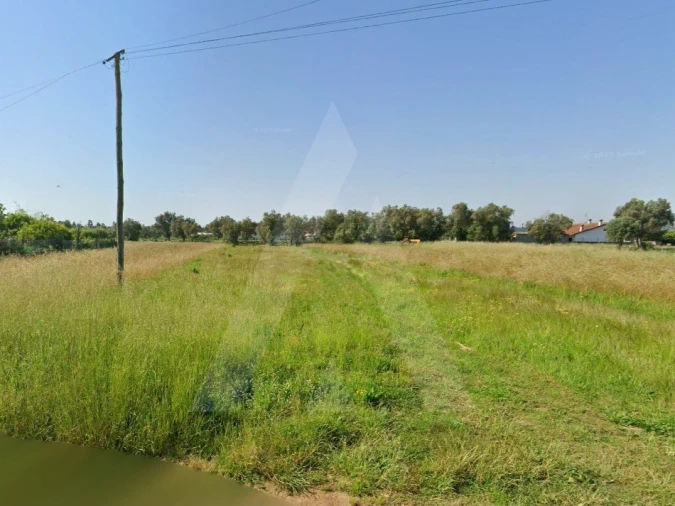 Terreno para Venda em Barrô e Aguada de Baixo Foto 10