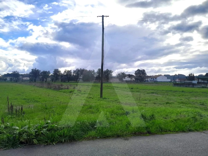Terreno para Venda em Barrô e Aguada de Baixo Foto 15