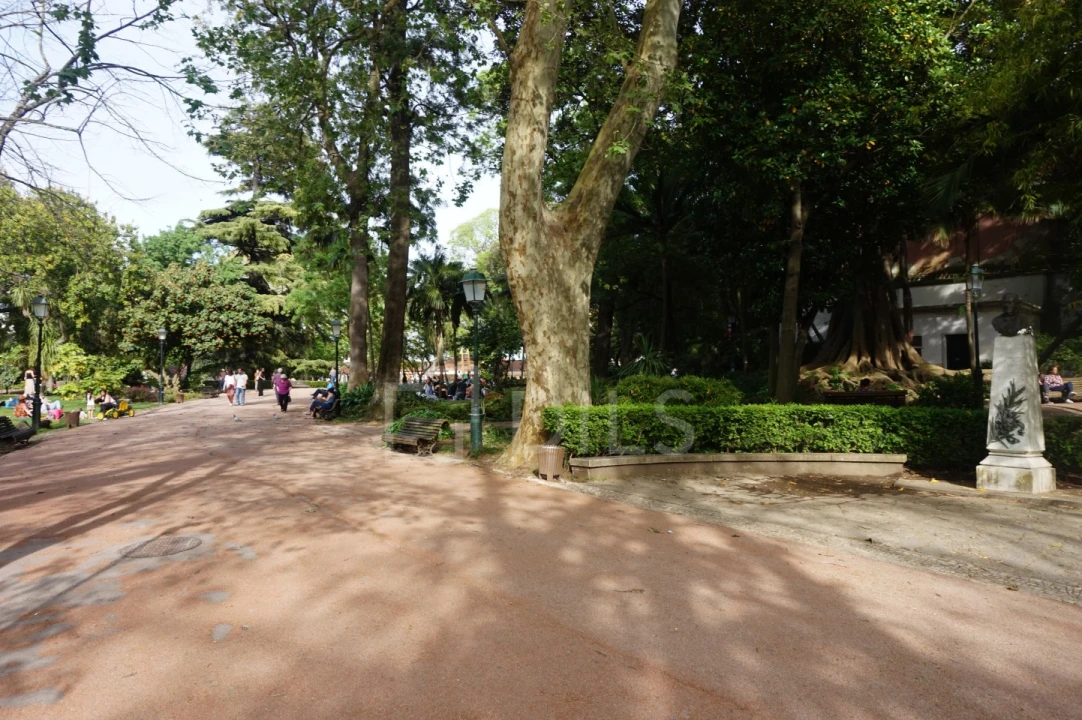 Moradia T3 para Venda em Estrela Foto 20