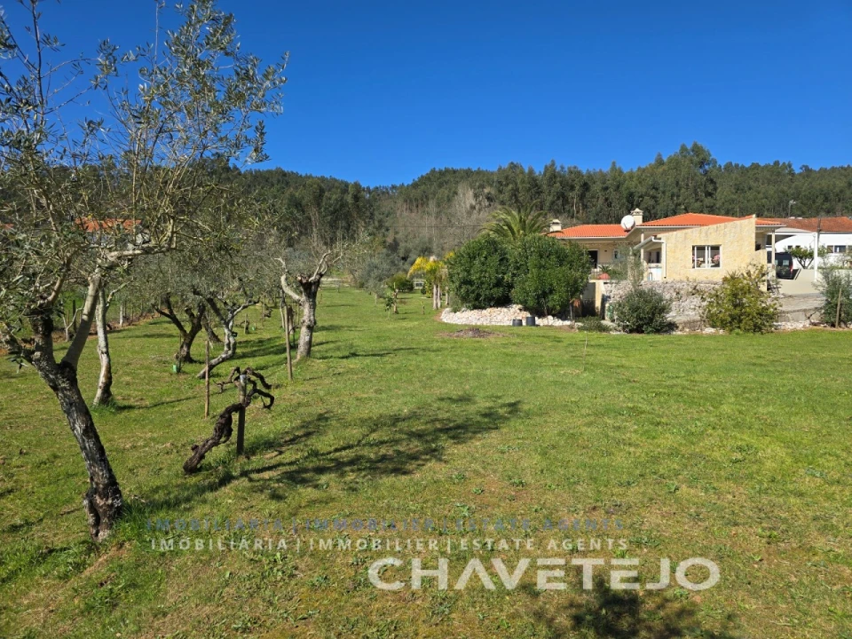 Moradia T3 para Venda em Areias e Pias Foto 67