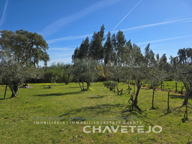 Moradia T3 para Venda em Areias e Pias Foto 66