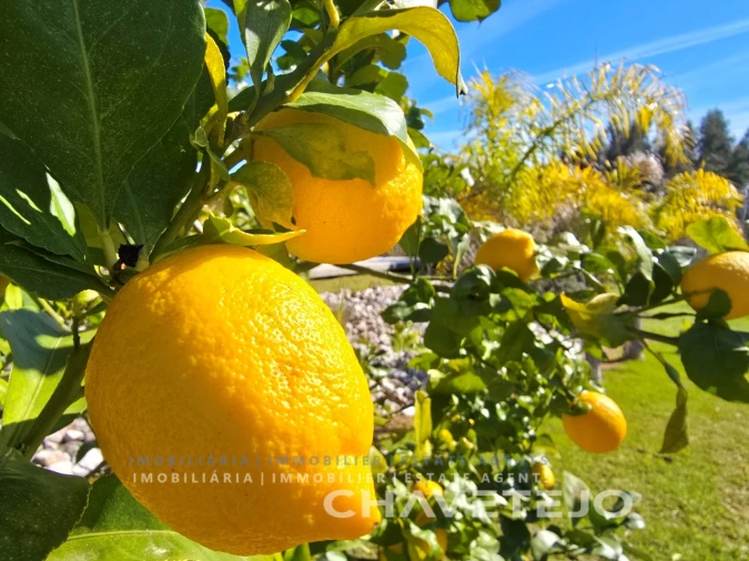 Moradia T3 para Venda em Areias e Pias Foto 69