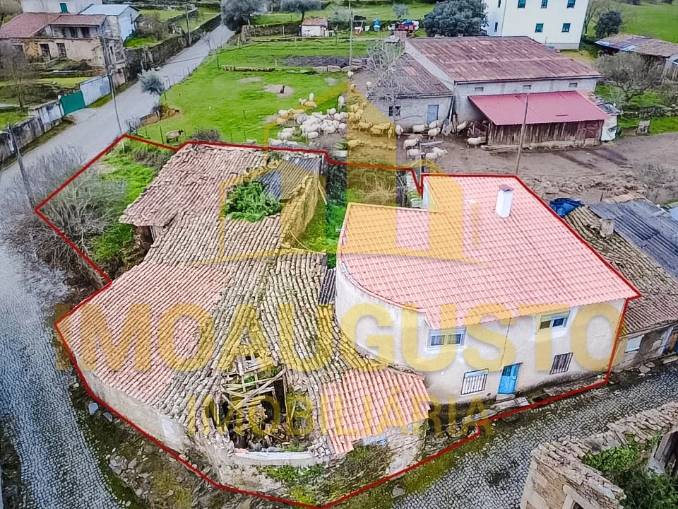 Moradia T3 para Venda em Almofala e Escarigo Foto 2