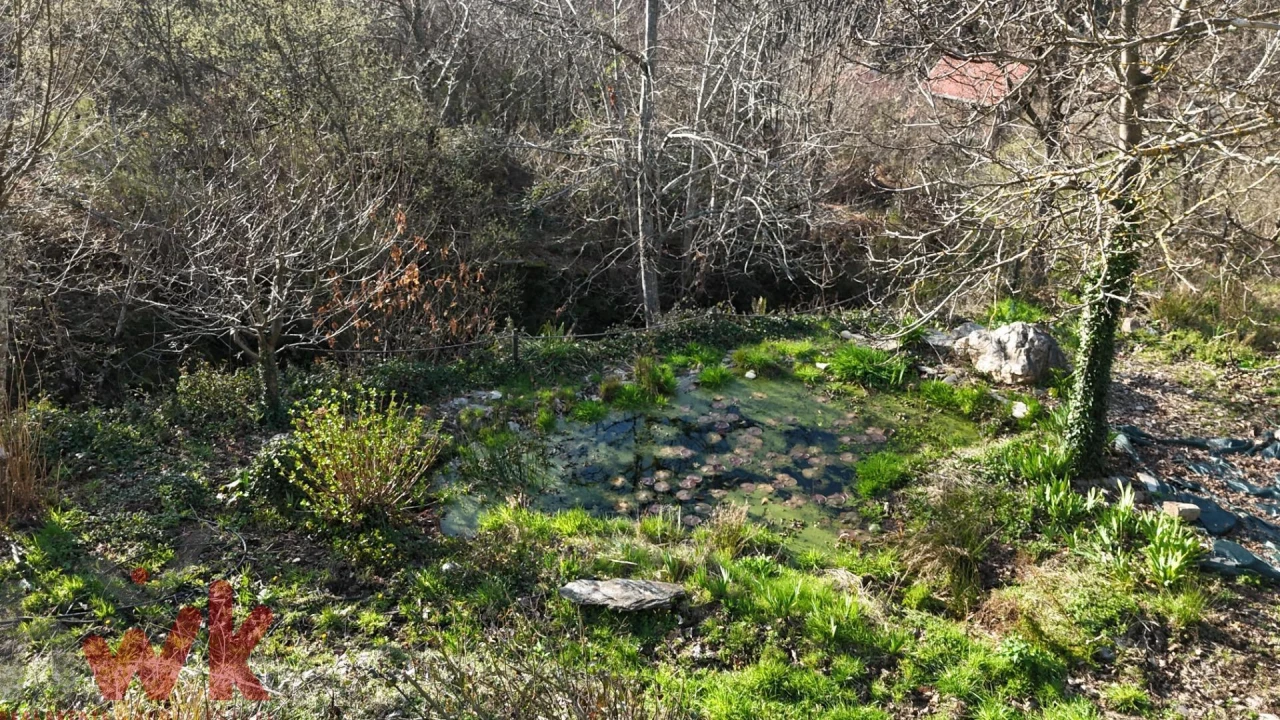 Terreno para Venda em Sazes da Beira Foto 25