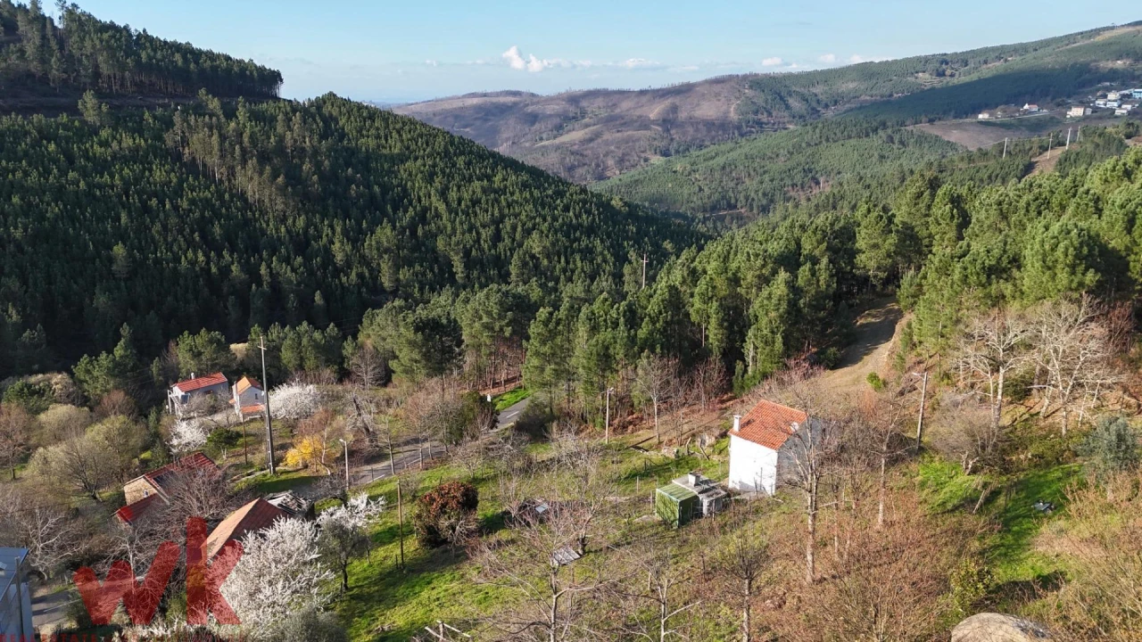 Terreno para Venda em Sazes da Beira Foto 26