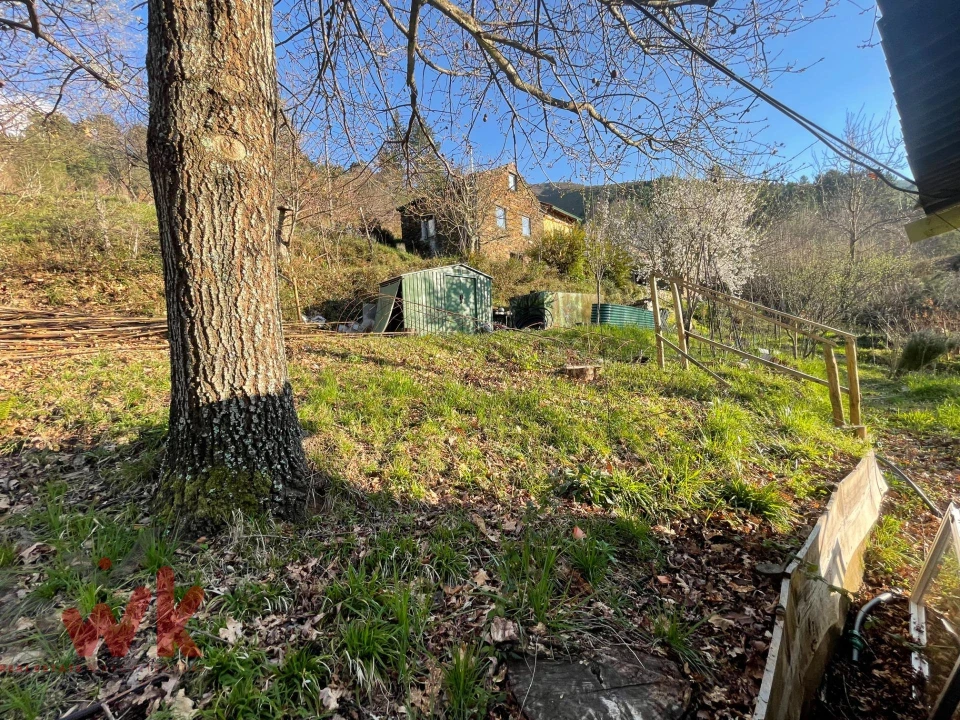 Terreno para Venda em Sazes da Beira Foto 41