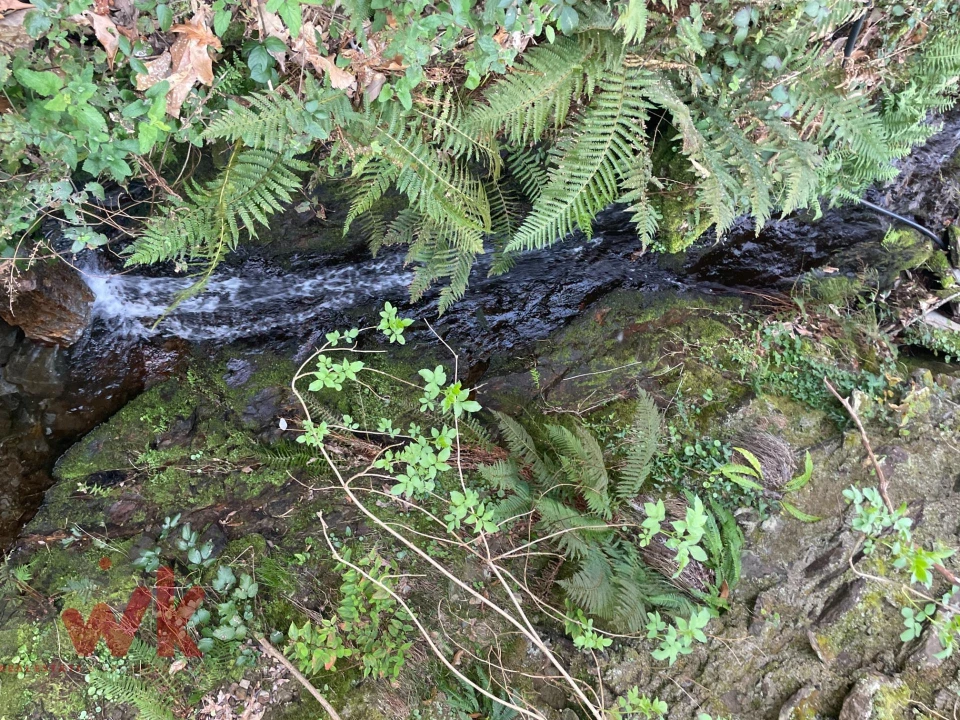 Terreno para Venda em Sazes da Beira Foto 7