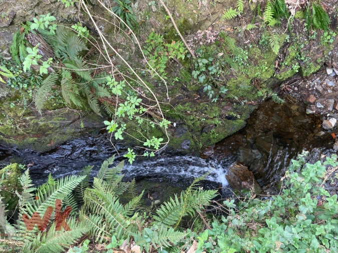 Terreno para Venda em Sazes da Beira Foto 24