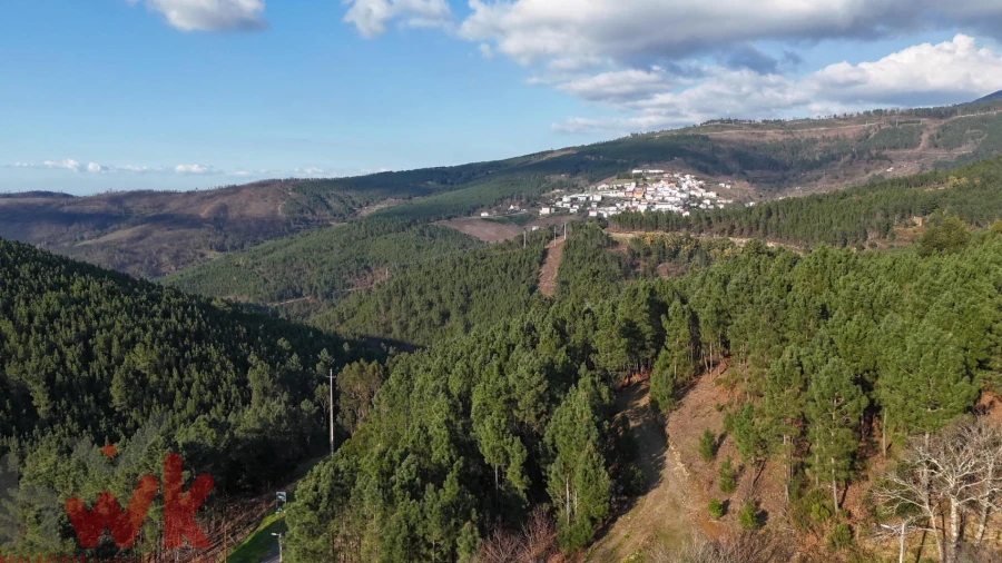 Terreno para Venda em Sazes da Beira Foto 27