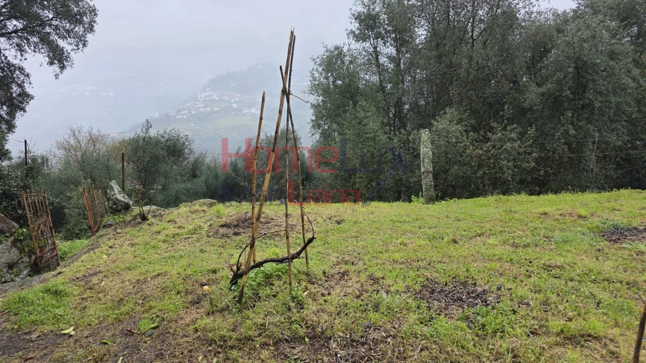 Moradia T3 para Venda em Frende Foto 31