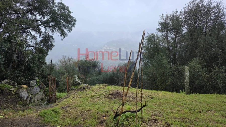 Moradia T3 para Venda em Frende Foto 29