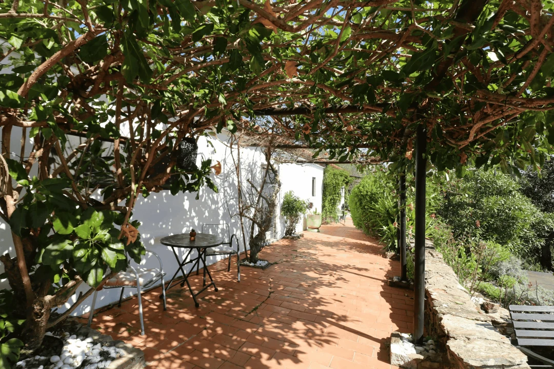 Moradia T2 para Venda em Santa Catarina da Fonte do Bispo Foto 12