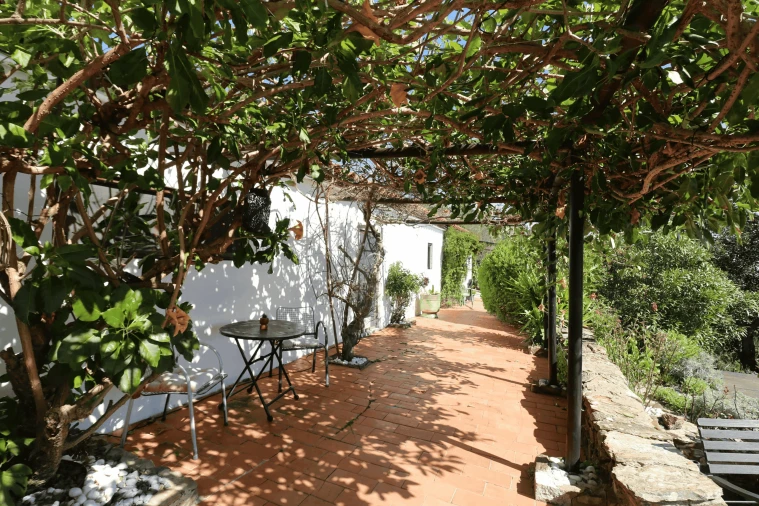 Moradia T2 para Venda em Santa Catarina da Fonte do Bispo Foto 12