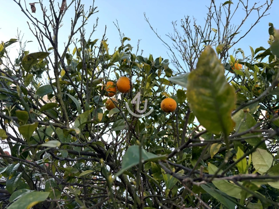 Moradia T5 para Venda em São Martinho do Porto Foto 31