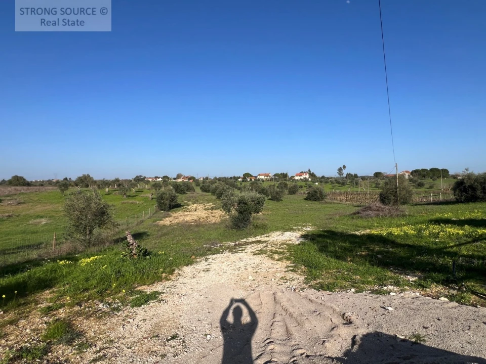 Moradia T4 para Venda em São Vicente do Paul e Vale de Figueira Foto 47