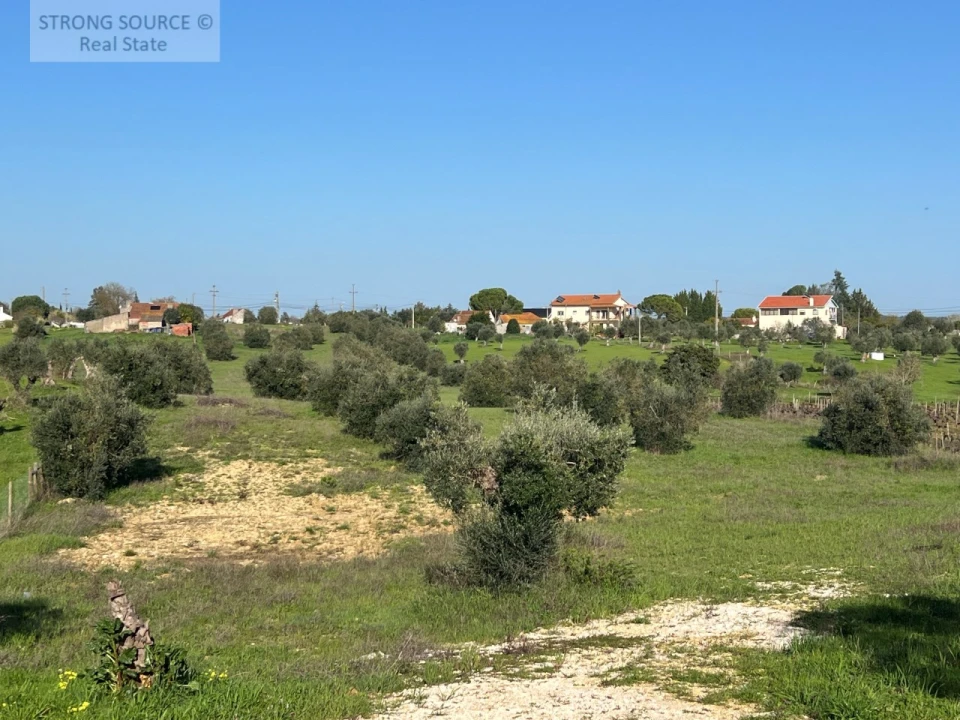 Moradia T4 para Venda em São Vicente do Paul e Vale de Figueira Foto 49