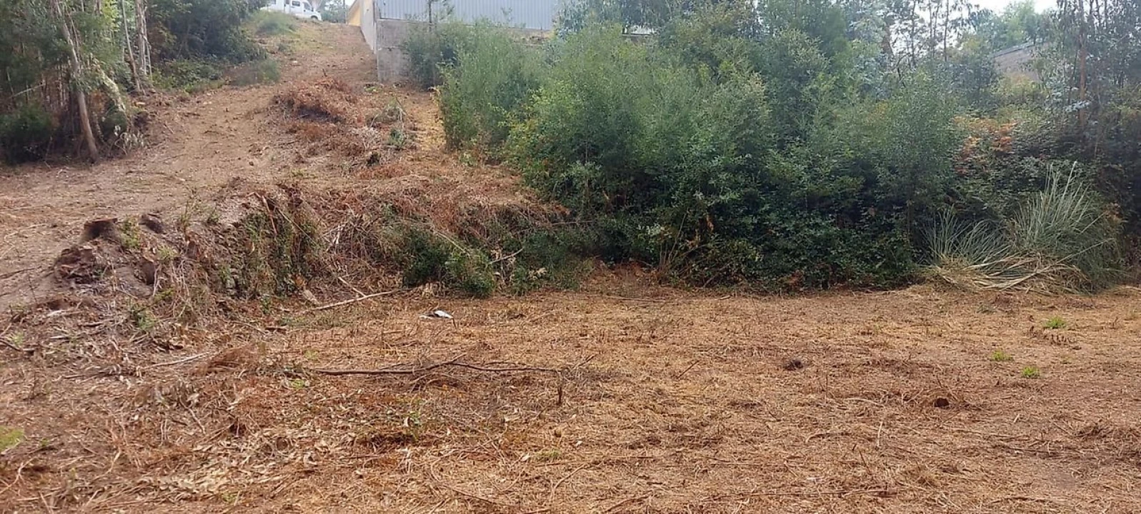 Terreno para Venda em Vila de Cucujães Foto 3
