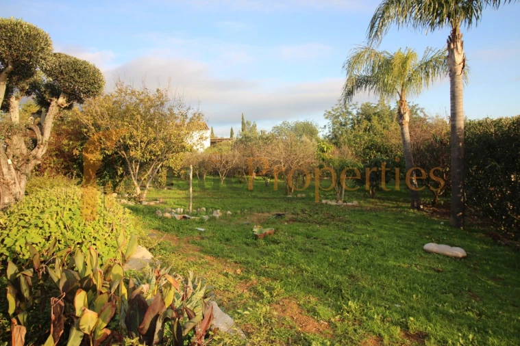 Moradia T4 para Venda em São Brás de Alportel Foto 14