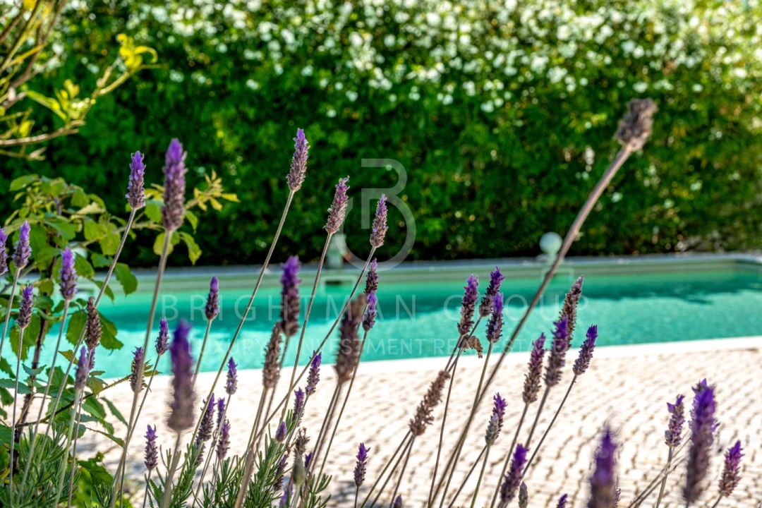 Quinta T12 para Venda em Canha Foto 19