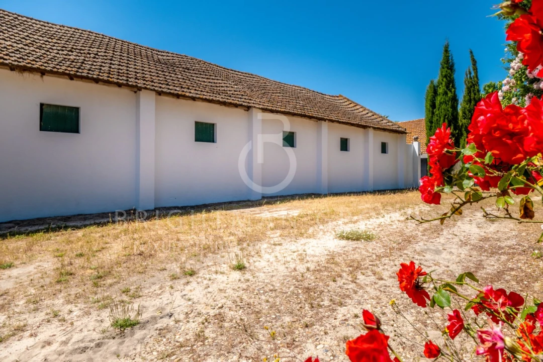 Quinta T12 para Venda em Canha Foto 20