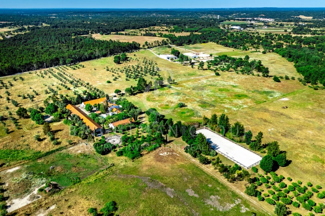 Quinta T12 para Venda em Canha Foto 1