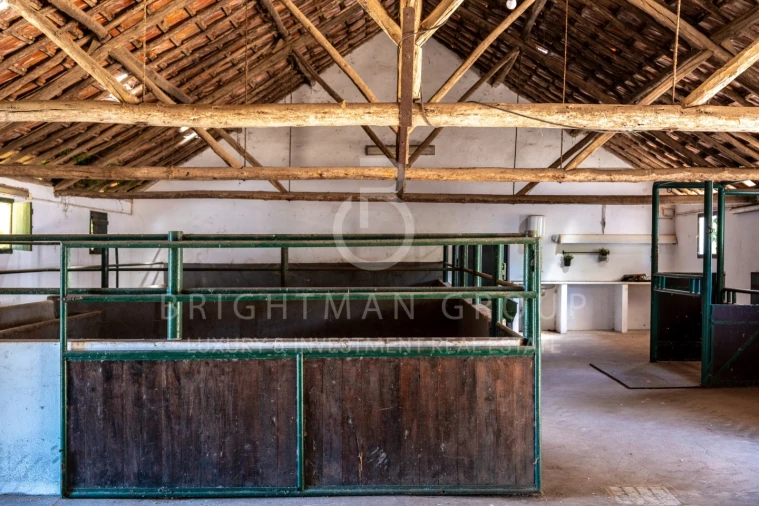 Quinta T12 para Venda em Canha Foto 8